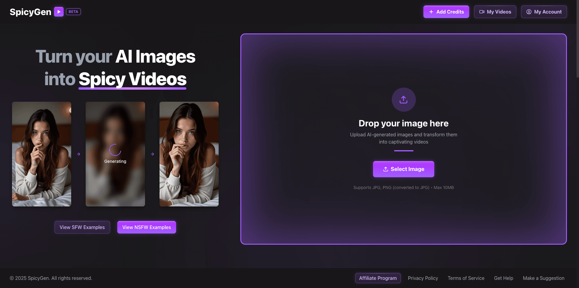 SpicyGen Interface Screenshot
